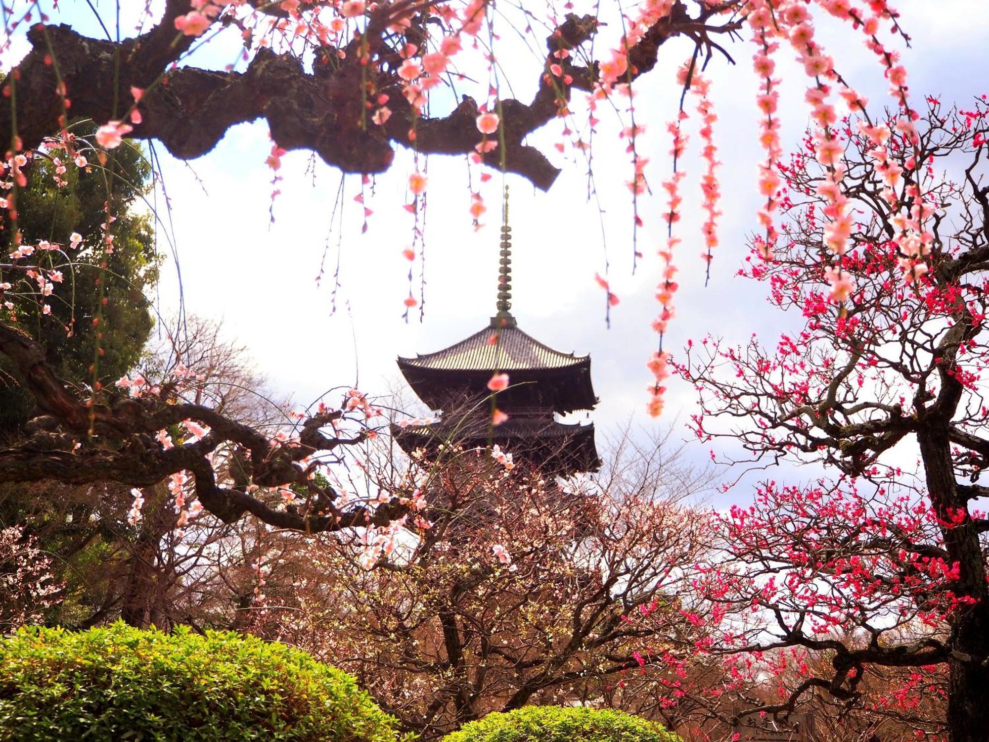 Stay Sakura Kyoto Higashi Hongan-Ji I 외부 사진