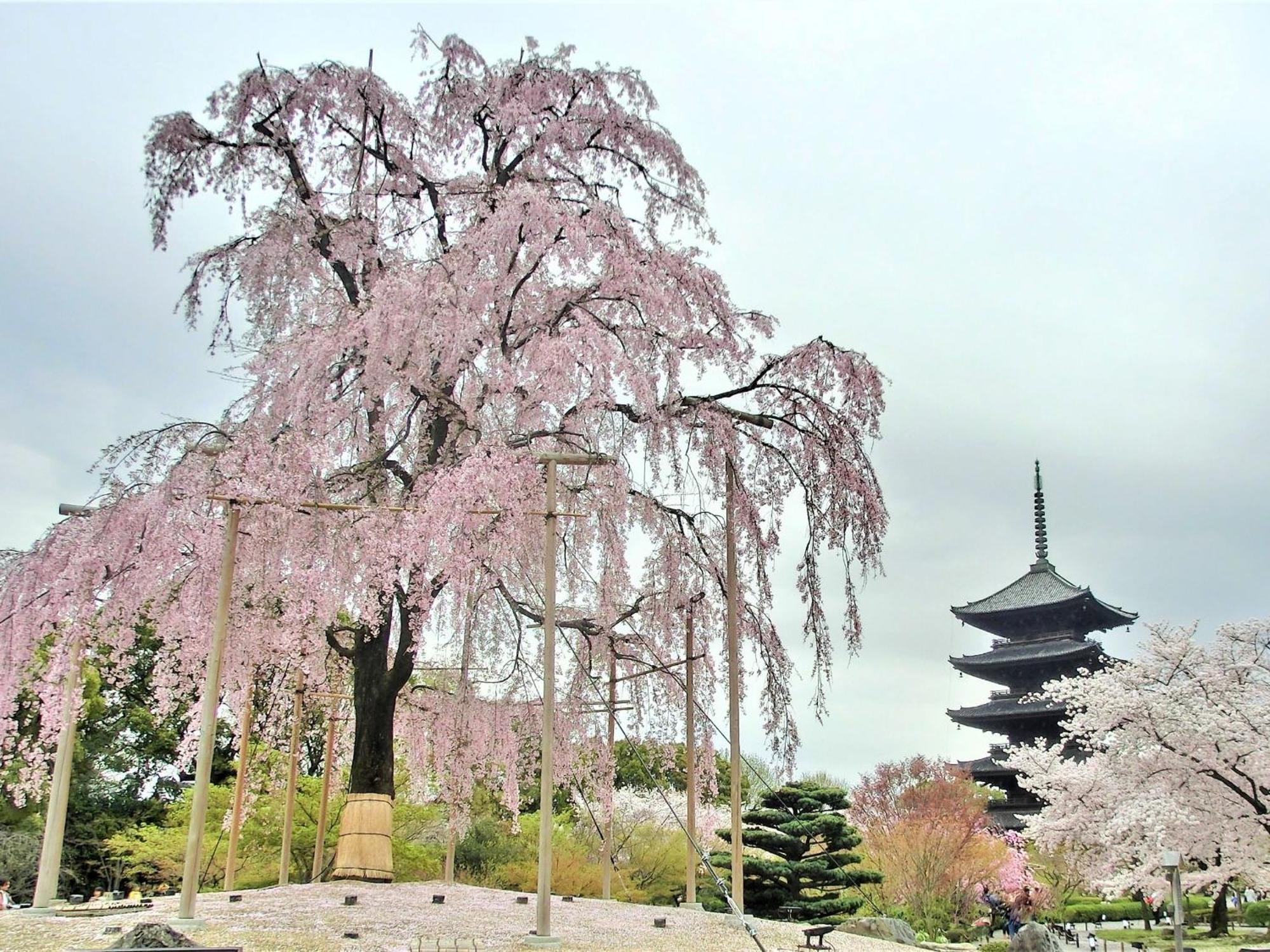 Stay Sakura Kyoto Higashi Hongan-Ji I 외부 사진