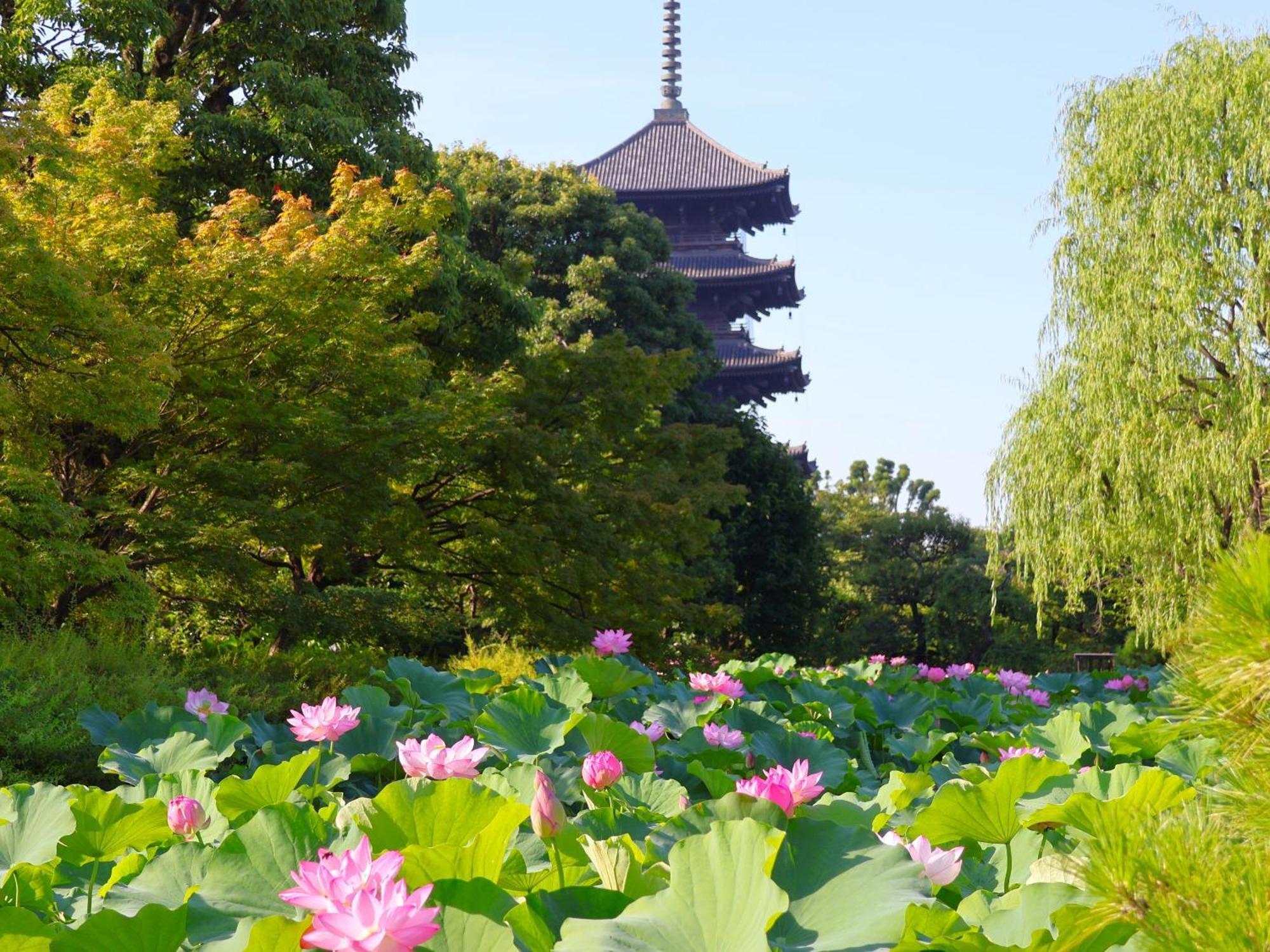Stay Sakura Kyoto Higashi Hongan-Ji I 외부 사진