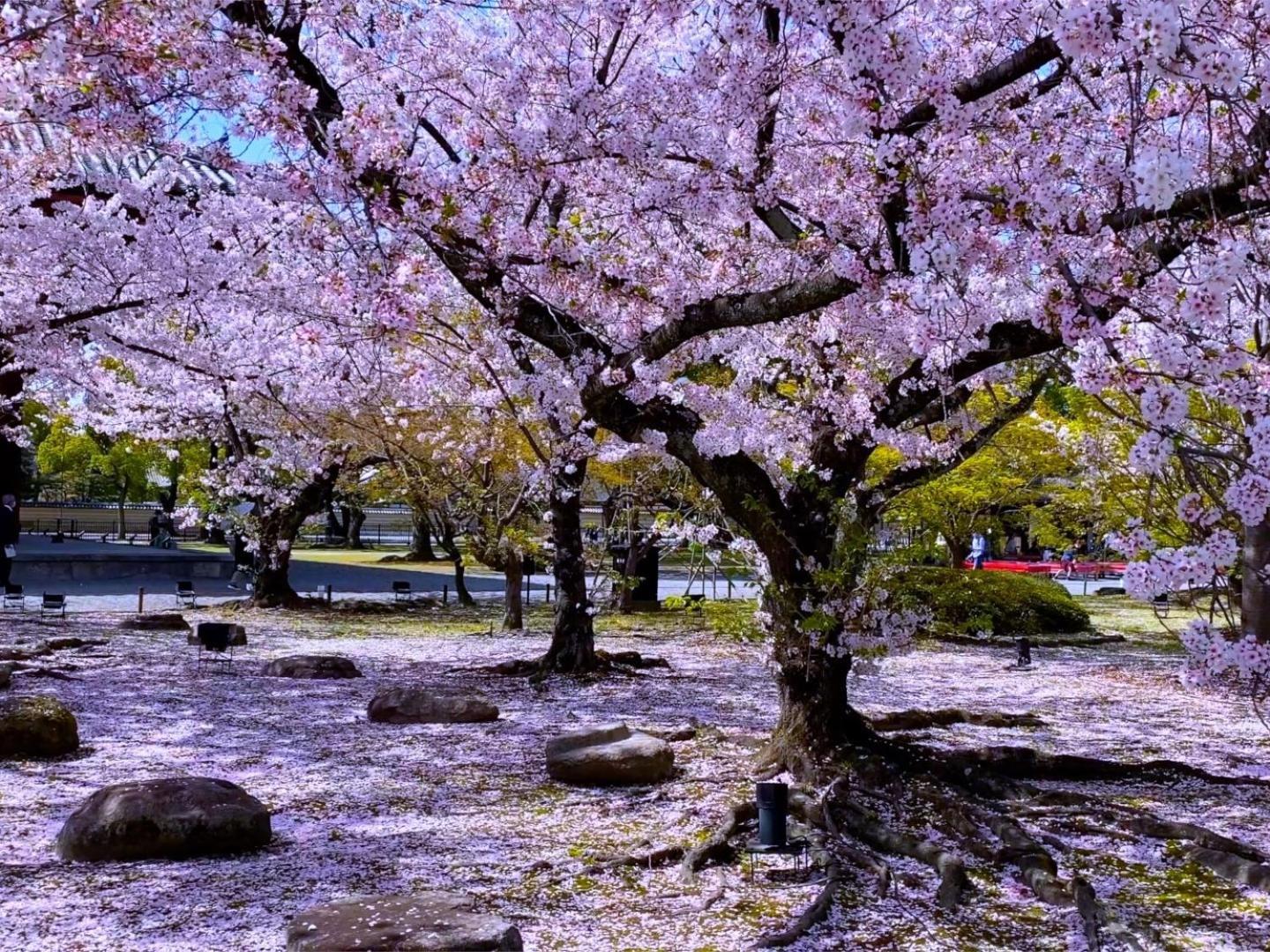 Stay Sakura Kyoto Higashi Hongan-Ji I 외부 사진
